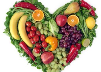 The Consequence of The Mechanisms of a Balanced Diet