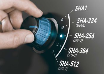 What is Hashing Algorithm and why is it been used