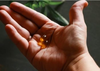 CBD: Knowing About The Oils And Capsules For Your Health