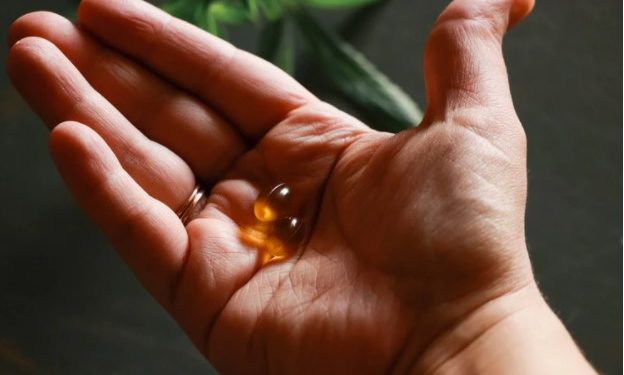 CBD: Knowing About The Oils And Capsules For Your Health