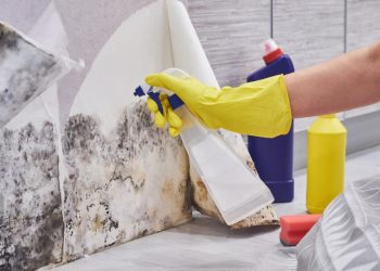 How to Get Professional Mold Remediation Right: Six Tips to Help You Make Your Mold Problem Go Away
