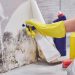How to Get Professional Mold Remediation Right: Six Tips to Help You Make Your Mold Problem Go Away