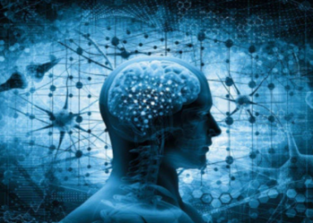 Top 10 Documentaries About the Mind