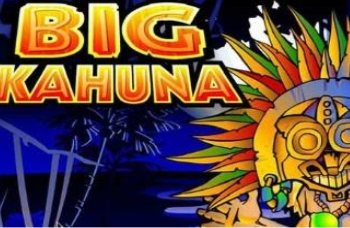 How to Win Playing Big Kahuna Game