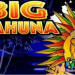 How to Win Playing Big Kahuna Game