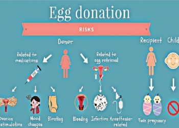 All about Egg donation