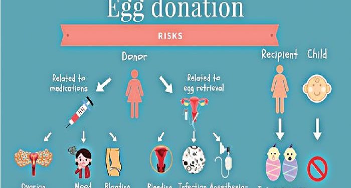 All about Egg donation