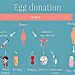 All about Egg donation