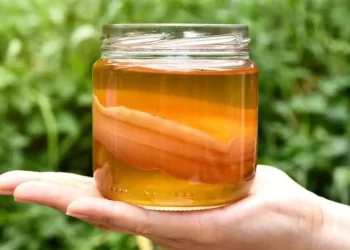 5 Interesting Benefits About Kombucha