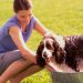 How To Keep Your Home Clean With Pets