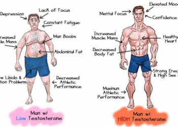 Boost Testosterone Levels Naturally