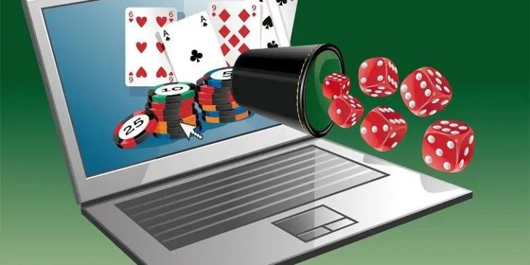 A Beginner’s Guide to Place Bets on a Cricket Betting Exchange Online