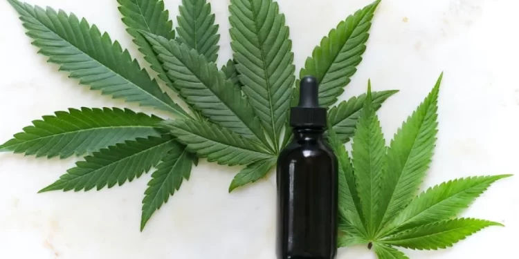 Top 6 Benefits of CBD Oil