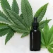Top 6 Benefits of CBD Oil