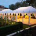 Get a party tent for your next backyard event