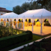Get a party tent for your next backyard event