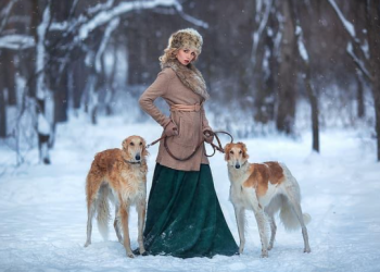 Can Dogs Eat Garlic?