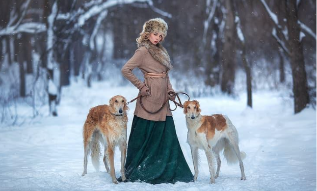 Can Dogs Eat Garlic?