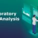 Major Techniques for Exploratory Data Analysis (EDA)