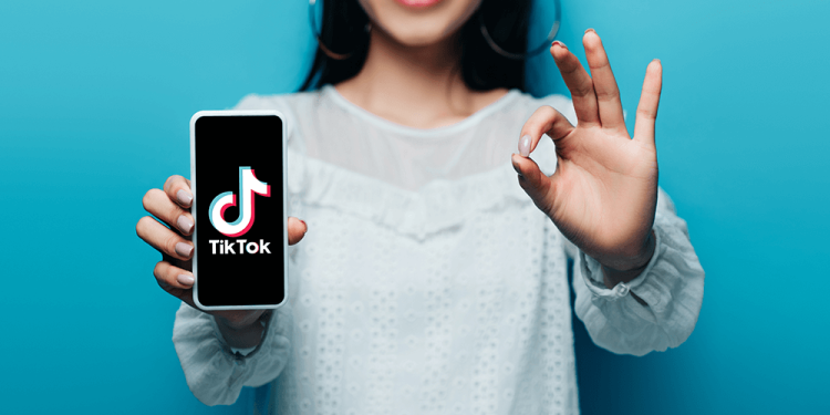 TikTok Influencers and their Huge Popularity