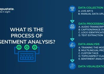 Sentiment Analysis: What Type of Data Should be Collected by Companies