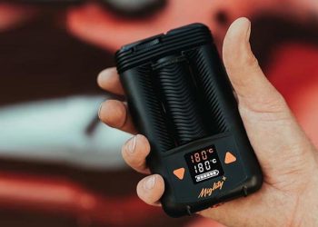 Herbs That You Can Use in Your Dry Herb Vaporizer