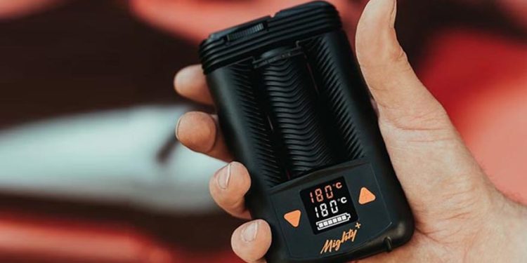 Herbs That You Can Use in Your Dry Herb Vaporizer