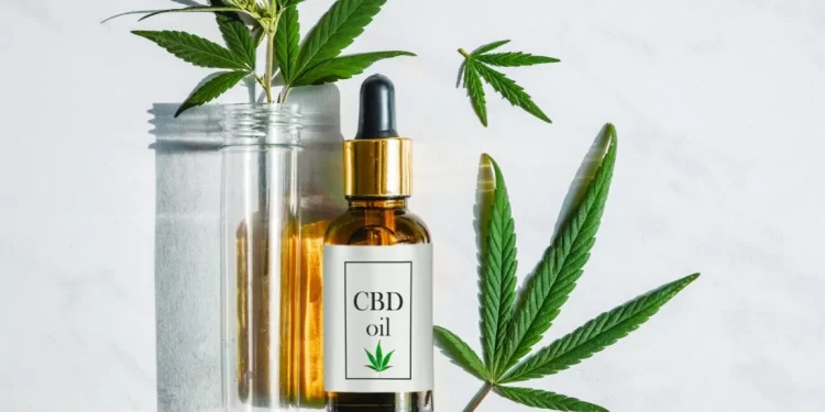 Find the Right CBD Shop in Texas to get Your Regular Supply of Alternative Supplements
