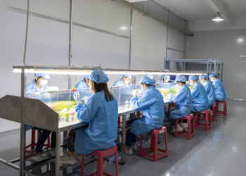 Technical Specifications for Silicone Manufacturing