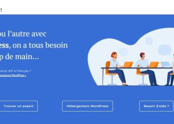 The best WordPress Support We Can Find on the Internet