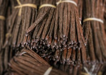 Why is Vanilla in huge demand in the world?