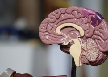 Causes and Risk Factors for Alzheimer’s Disease