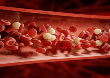 Artificial Bloodis prepared by Using Hemoglobin Extracted from Bovine or Human Blood to Use It as an Alternative for Red Blood Cells
