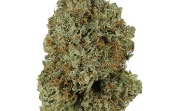 Cannabis Strain: Here’s What You Need to Know About Bubba’s Gift