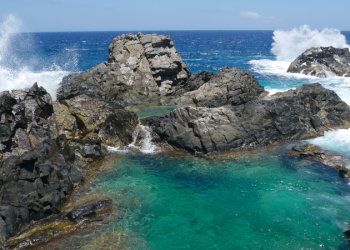 Explore Massapequa, the Hidden Treasure of NYC, in Exotic Car