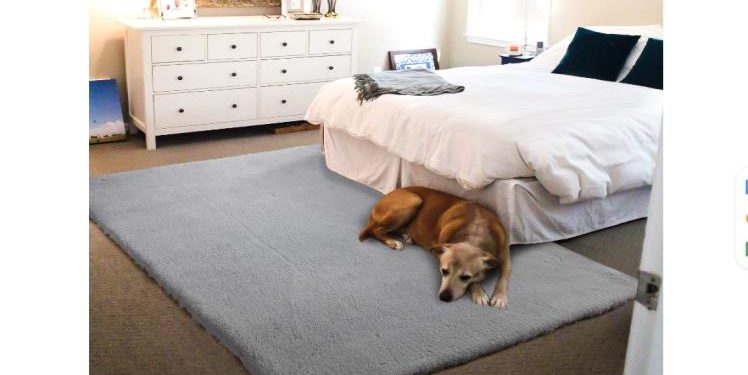 The Best Rugs for Pets: Tips to Choose the Right One (and Avoid)