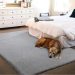 The Best Rugs for Pets: Tips to Choose the Right One (and Avoid)