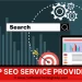 What are the facilities provides by SEO service?