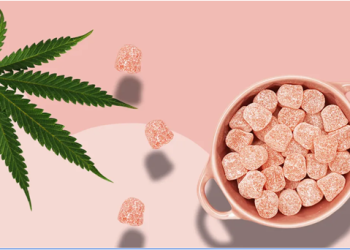 CBD Edible Gummies-Their Types and Flavors