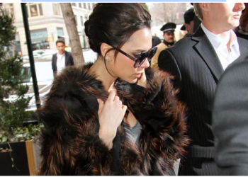 The Zwarte Regenjas for Travel