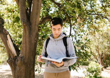 Is free legal aid in case of personal injury the solution?