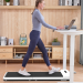 A budget-friendly foldable treadmill is the walkingpad C2 Mini.