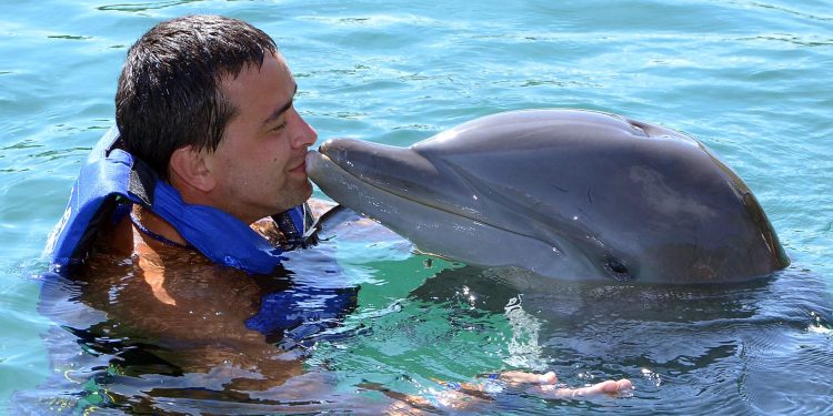 Exploring the Captivating Location of Dolphin Discovery Cozumel: Unforgettable Cozumel Shore Excursions
