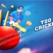 The Excitement of IPL Fantasy Cricket: Essential Tips for Newcomers