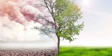 How Fruit Trees Influence Local Air Quality
