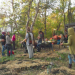 Adapting Gardens to Climate-Driven Challenges