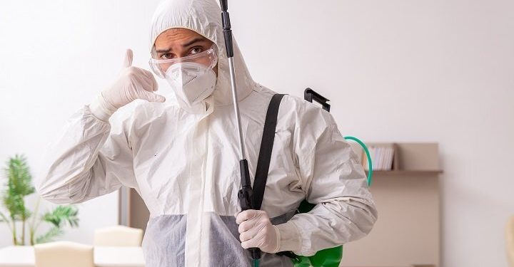 What Are the Best Pest Control Methods?